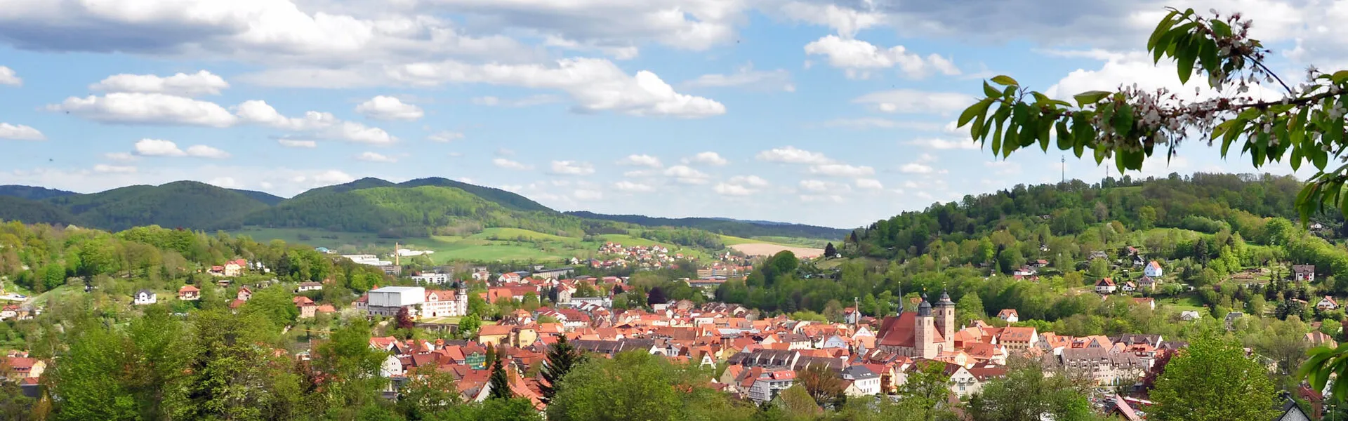 Thüringer Qualität für Ihren Kamin – Schmalkalden