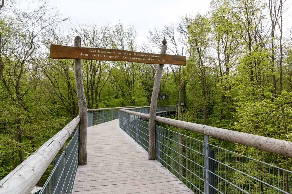 Hörselberg-Hainich – Brennholz König Liefergebiet