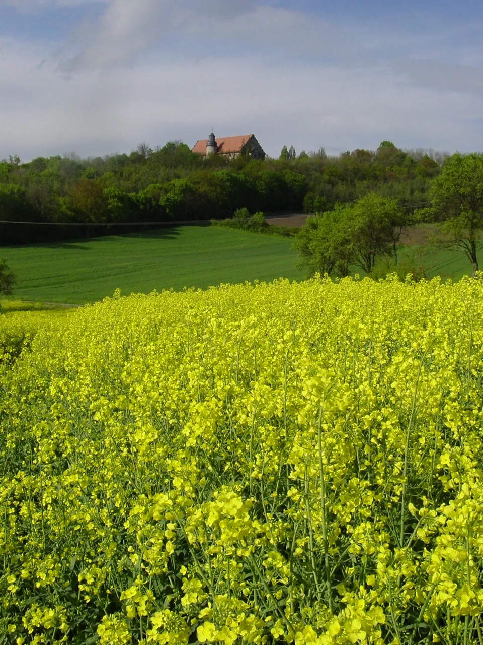 Hofheim in Unterfranken – Brennholz König Liefergebiet