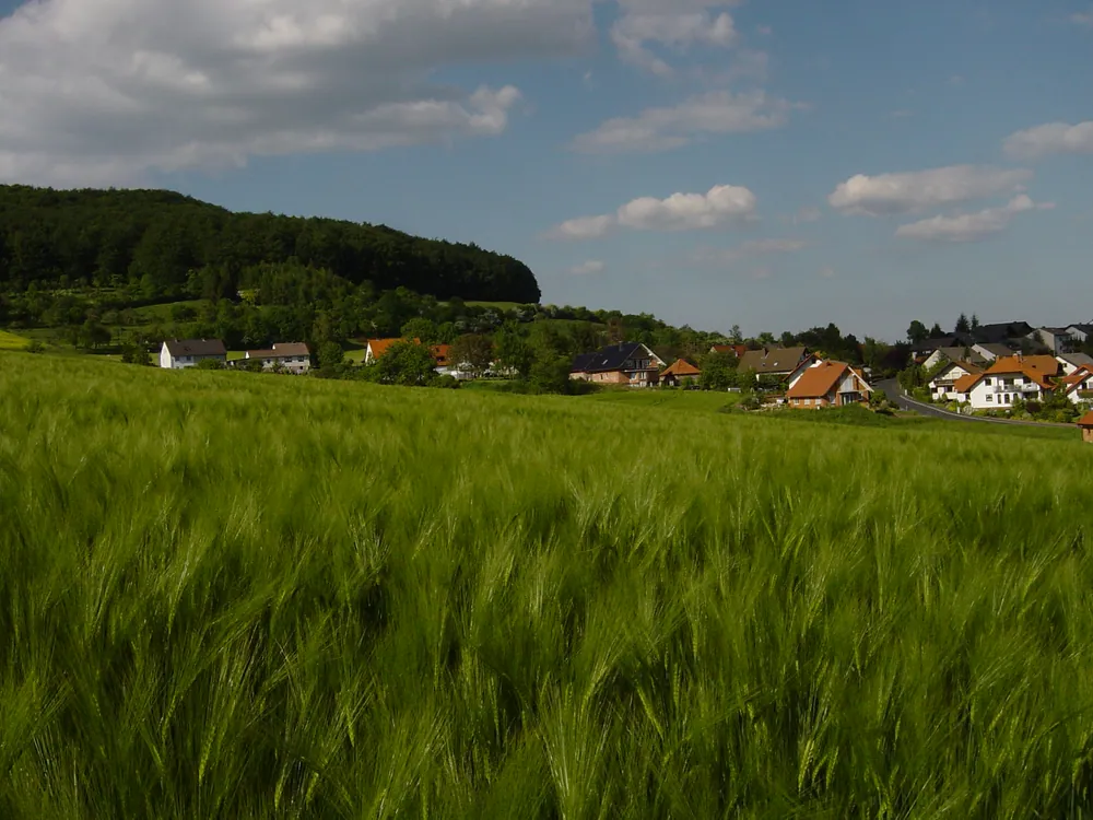 Hohenroda – Brennholz König Liefergebiet