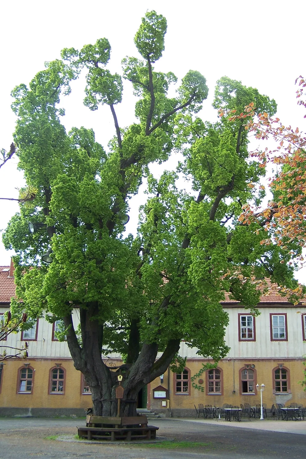 Kaltennordheim – Brennholz König Liefergebiet