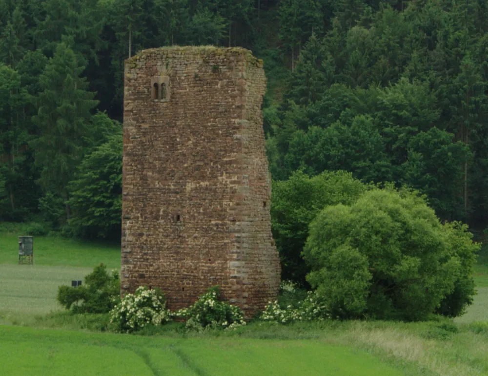 Schlitz – Brennholz König Liefergebiet