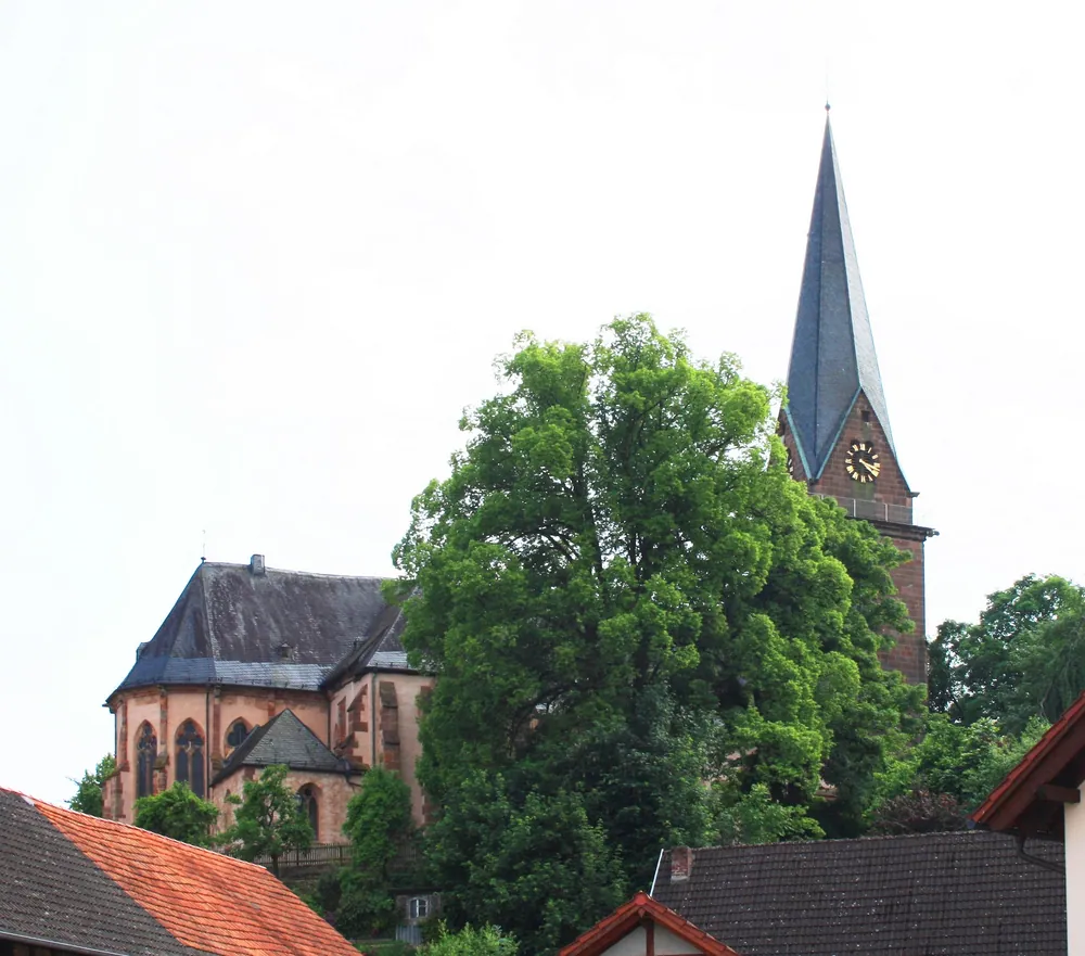 Wetter (Hessen) – Brennholz König Liefergebiet
