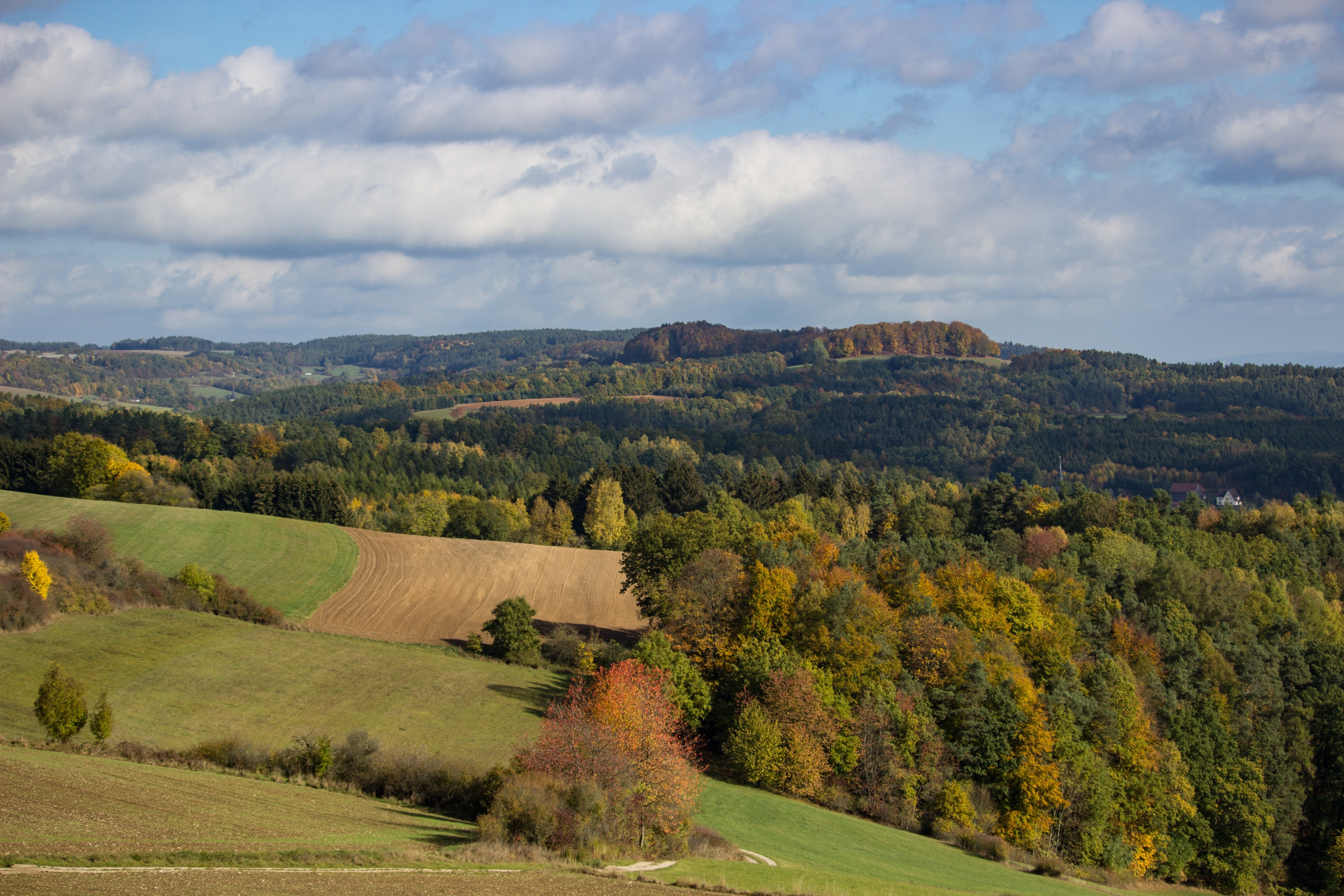Alheim – Brennholz König Liefergebiet