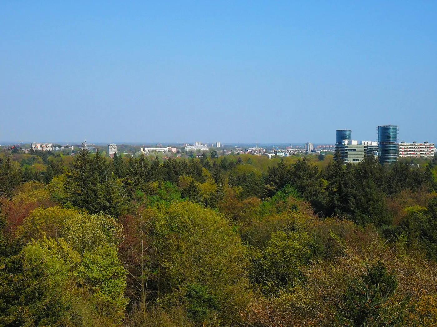 Apeldoorn – Brennholz König Liefergebiet