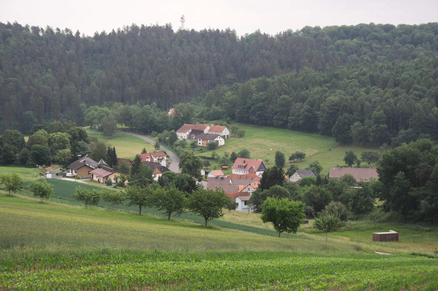 Breitenbach am Herzberg – Brennholz König Liefergebiet