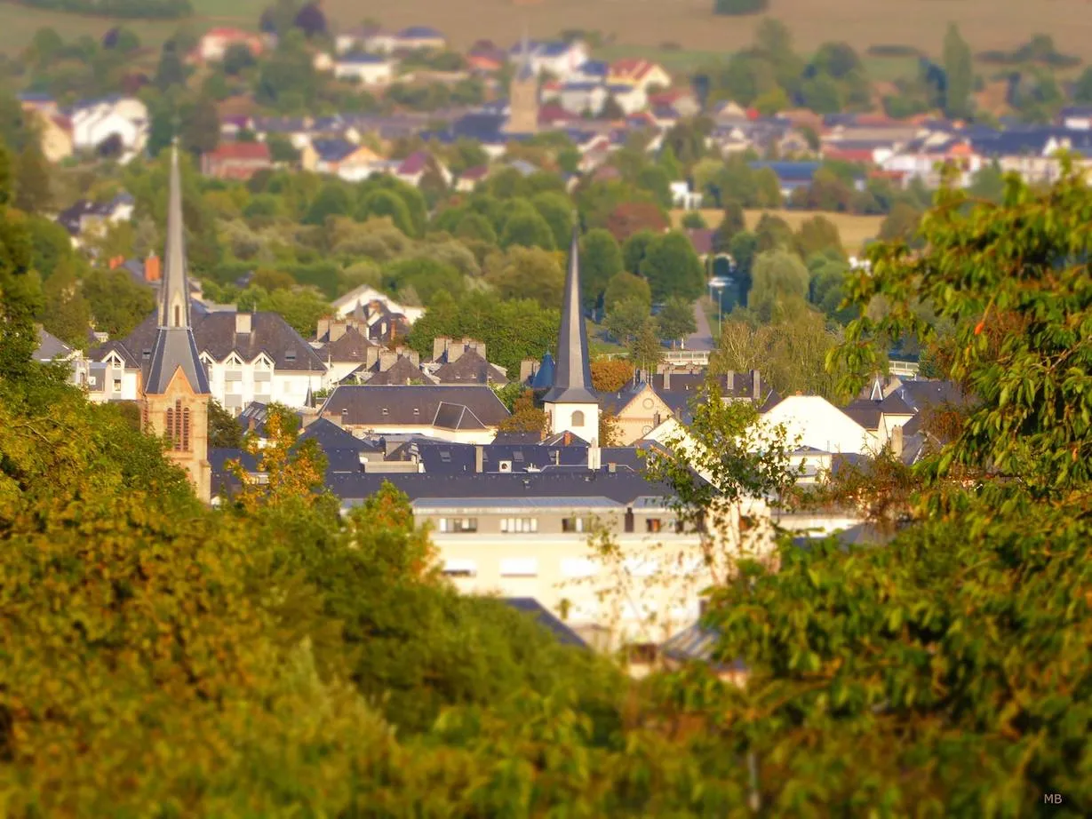 Diekirch – Brennholz König Liefergebiet