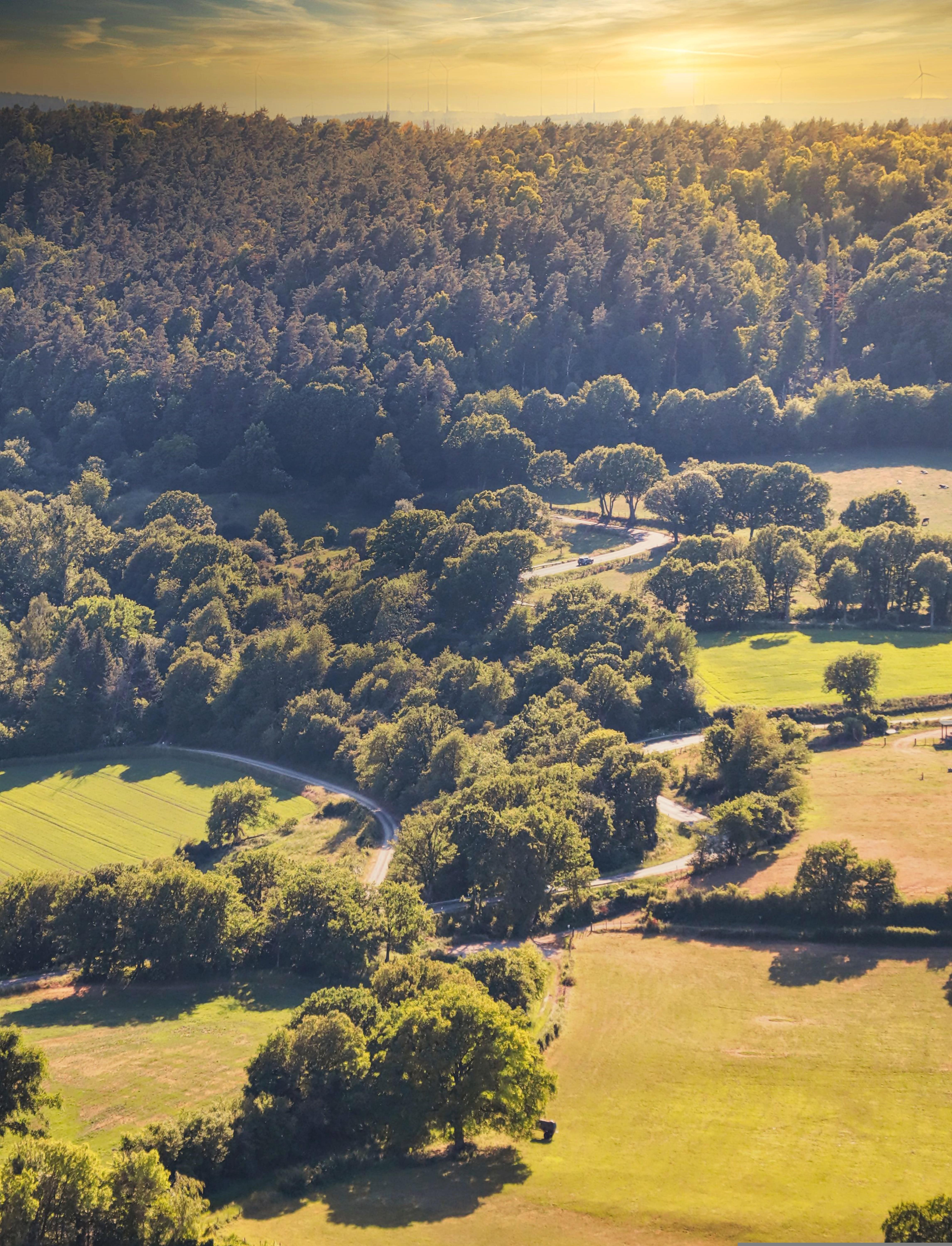 Gemünden – Brennholz König Liefergebiet