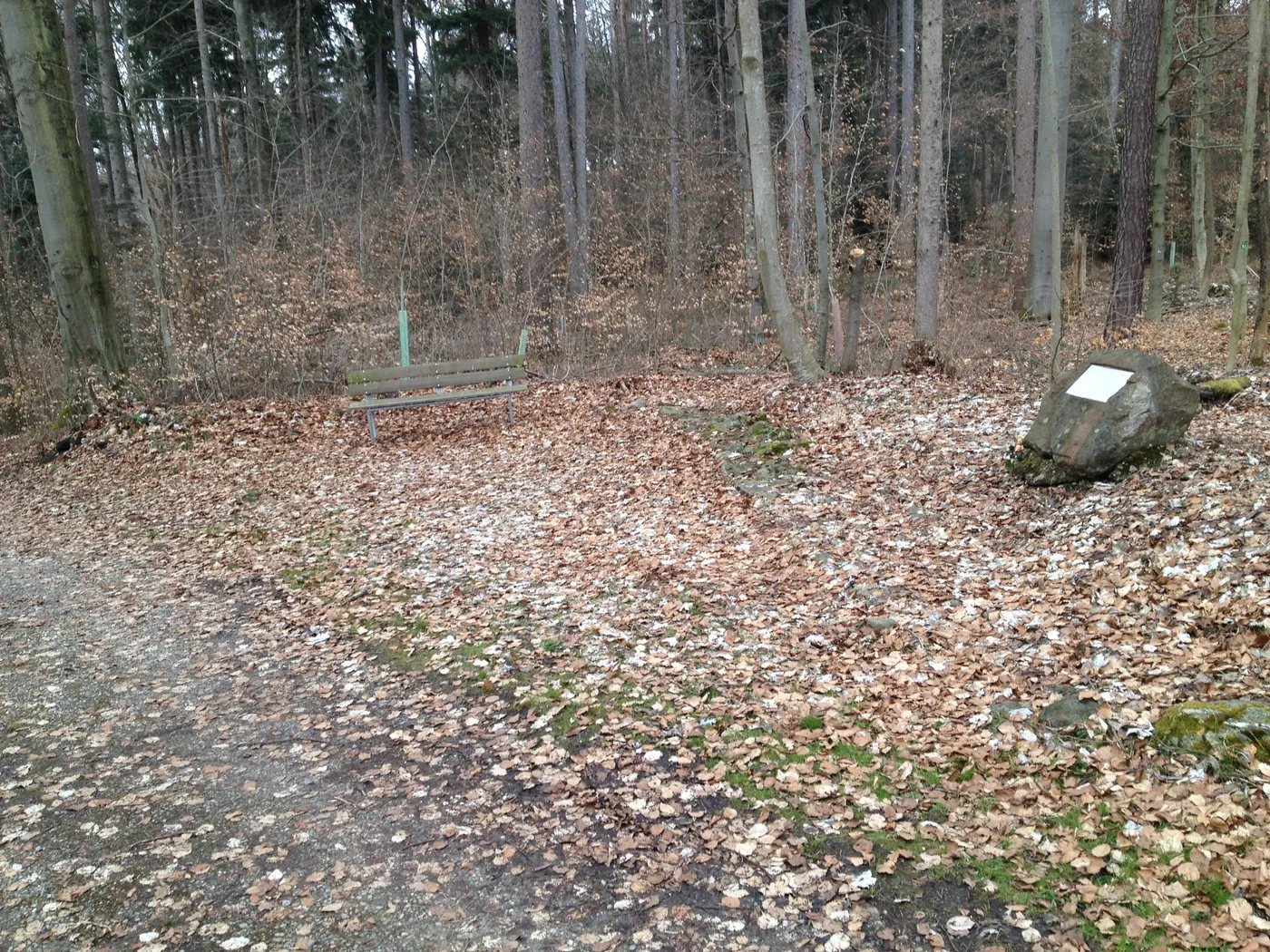 Goldbach – Brennholz König Liefergebiet