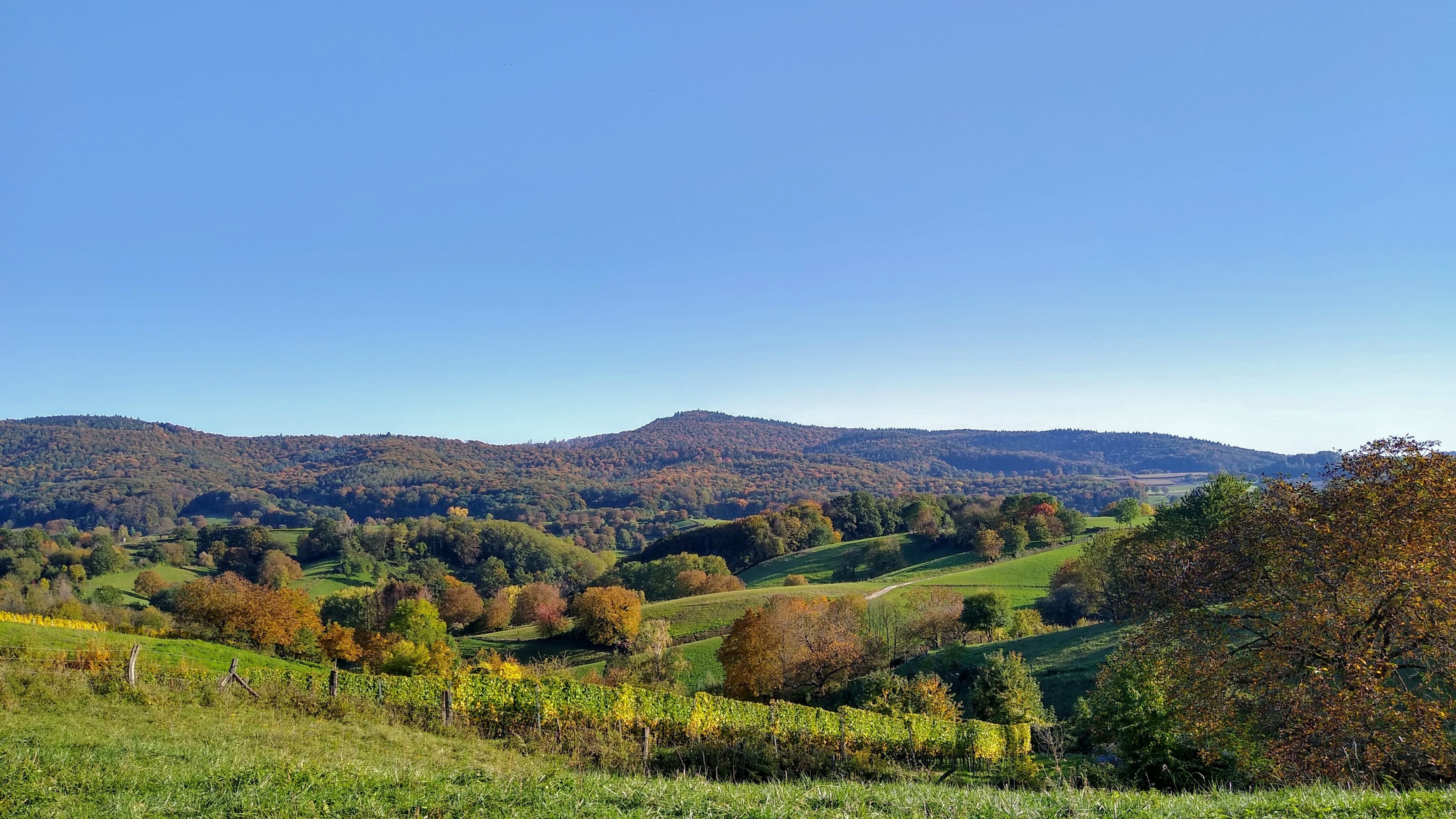 Hilders – Brennholz König Liefergebiet