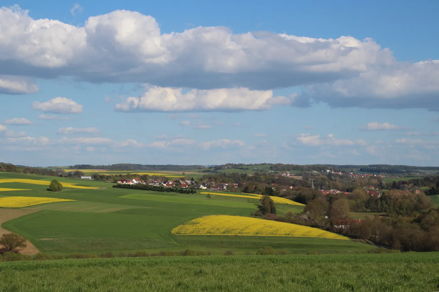 Kirtorf – Brennholz König Liefergebiet