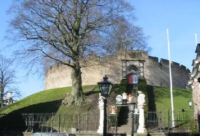 Leiden – Brennholz König Liefergebiet
