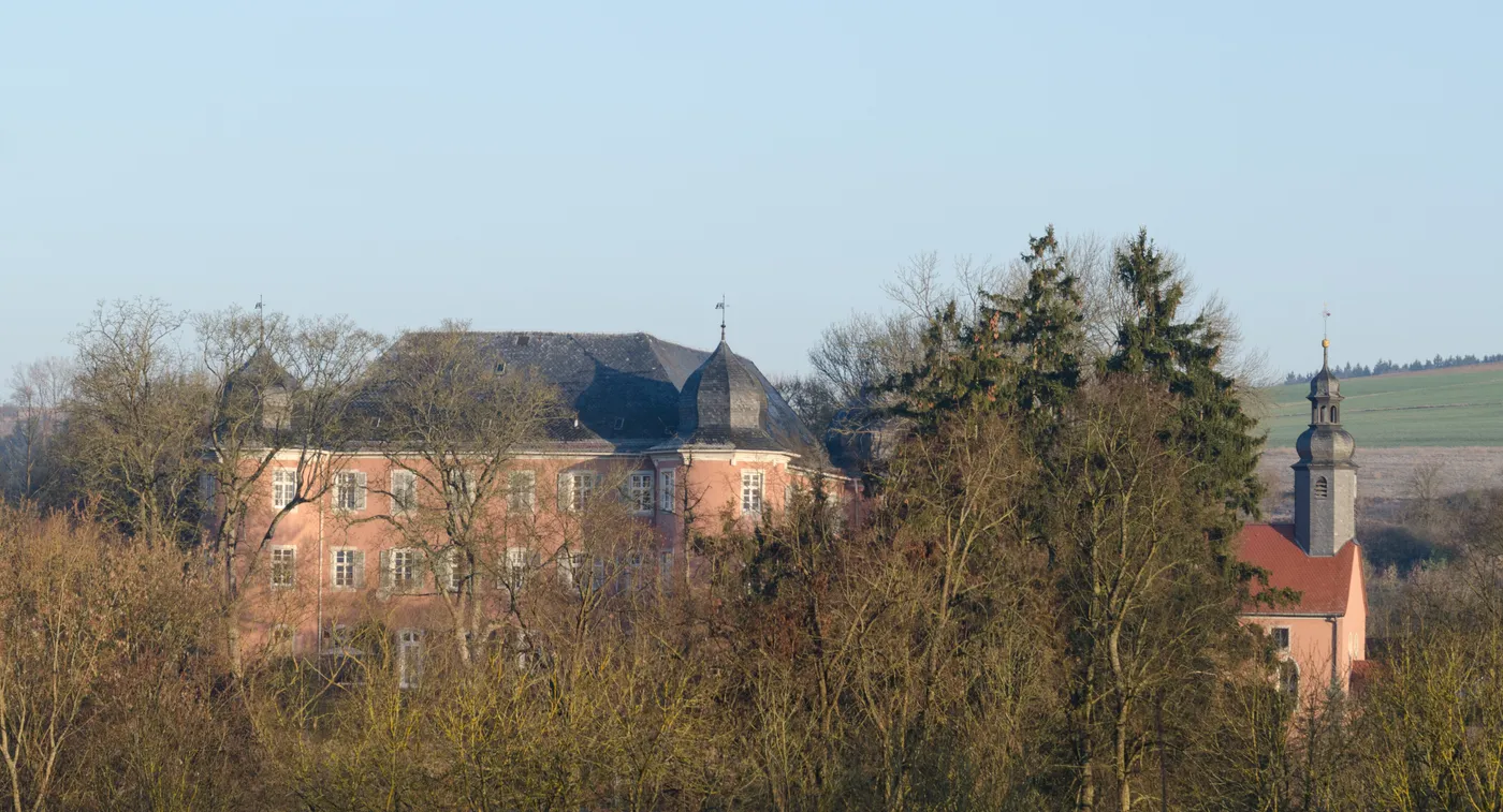 Saal an der Saale – Brennholz König Liefergebiet