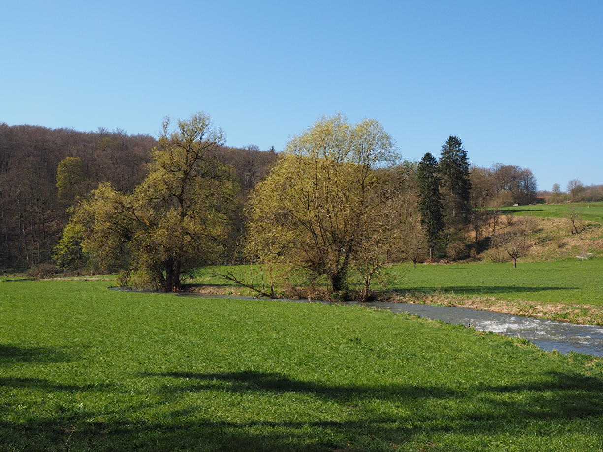 Söhrewald – Brennholz König Liefergebiet